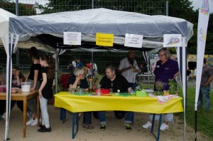 160708 Stadtteilfest 081