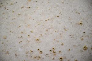 Stadtteifest Sauerland