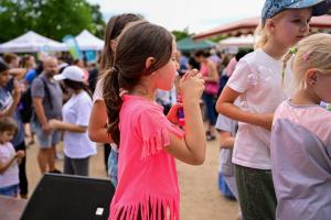 Stadtteifest Sauerland